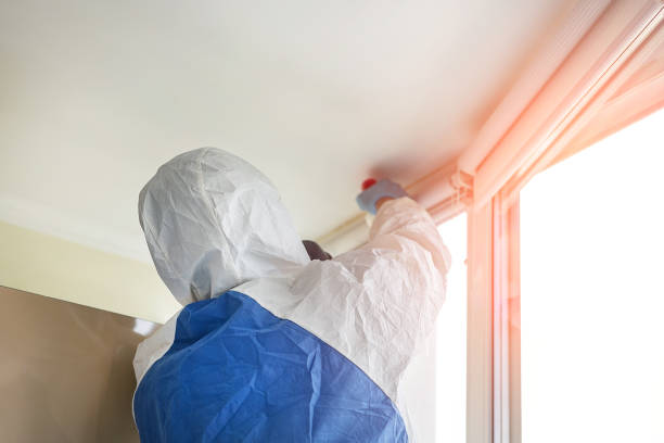 Best Asbestos and Lead Testing During Mold Inspection in Wellston, OH